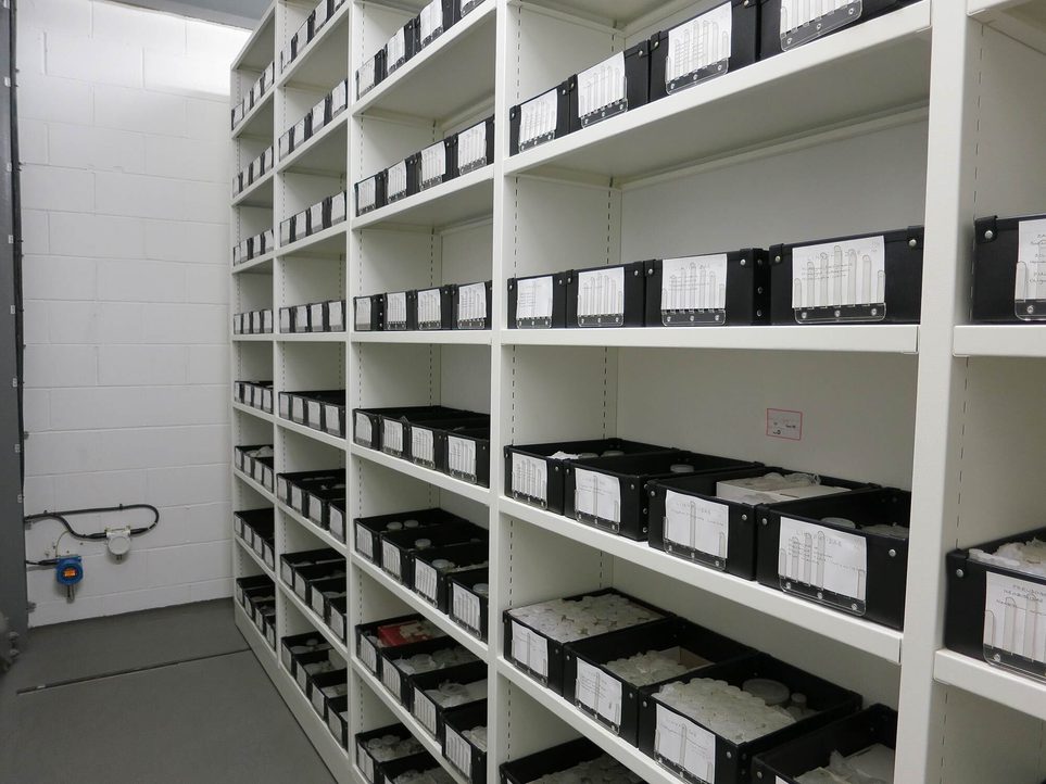 A row of cabinets holding black boxes containing wet entomology specimens.